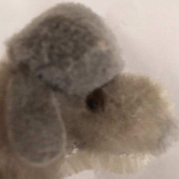~VTG~ Steiff Gray "Snobby" Poodle - Picture 6 of 11